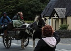 Parc National de Killarney (62)